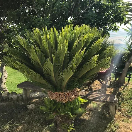 Villa Casas El Molino Vejer de la Frontera