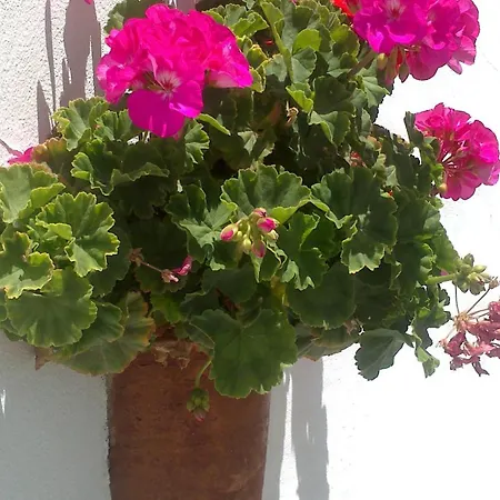 Villa Casas El Molino